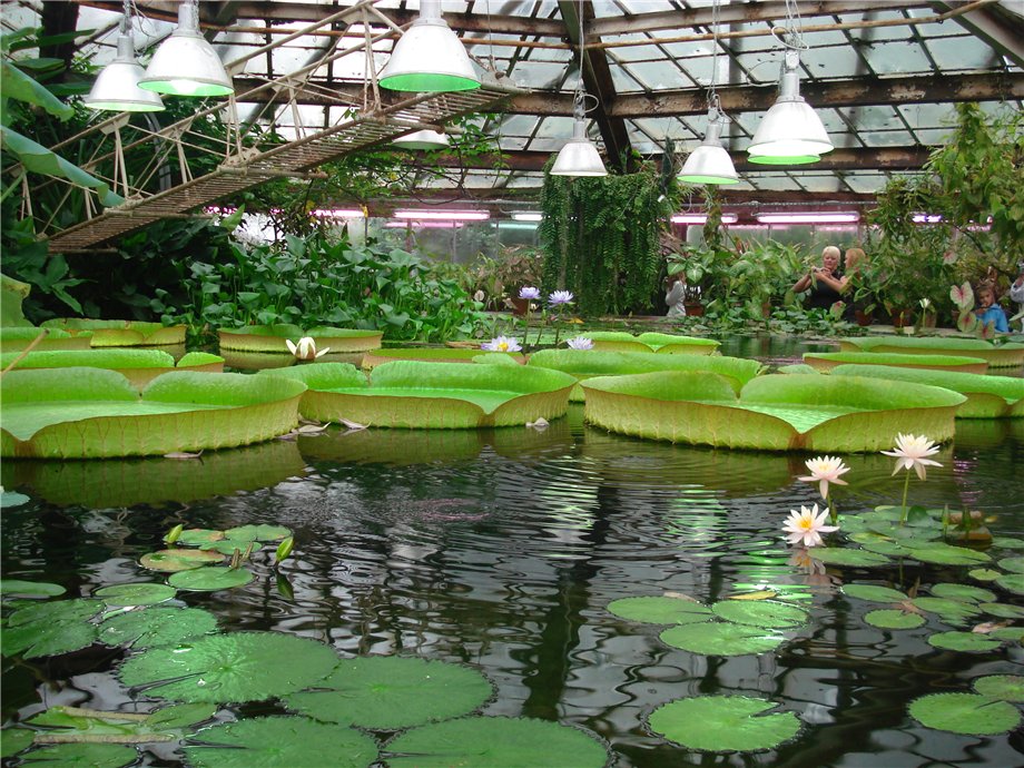 Ботанический Сад Москва Магазин Официальный Сайт