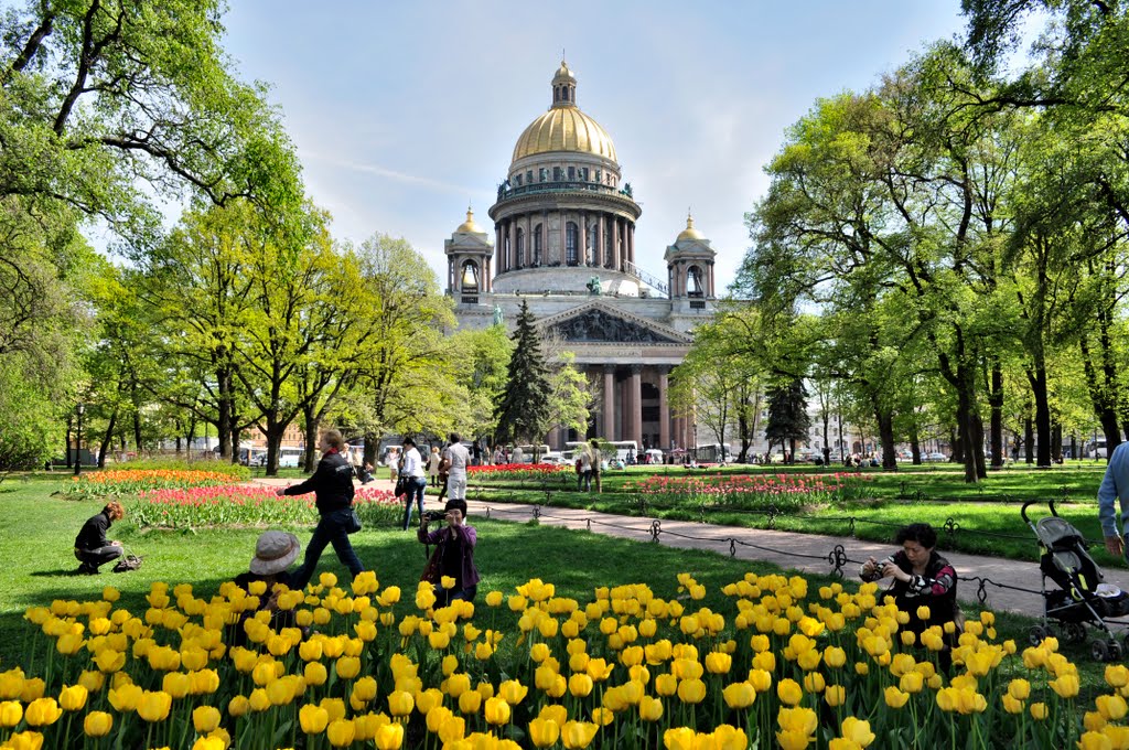 Петербург летом фото